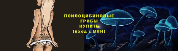 соль ск Алексеевка