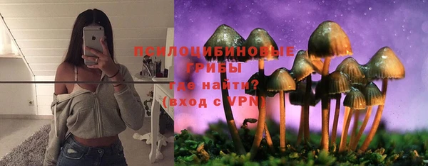 СК Козельск